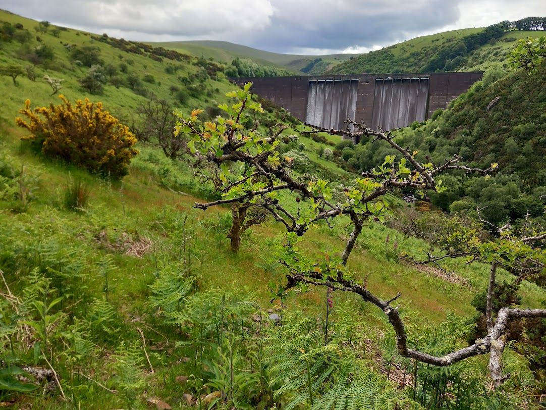 Meldon Dam